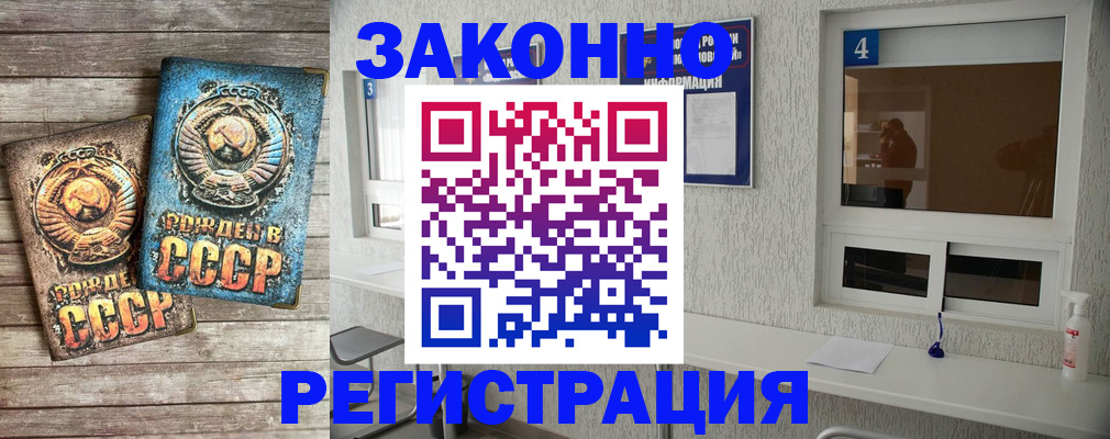 прописка 2025 в Грозном